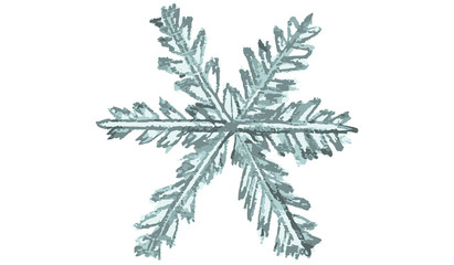 Vector sketch winter snowflake