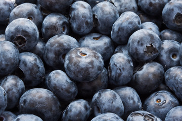 Blueberries