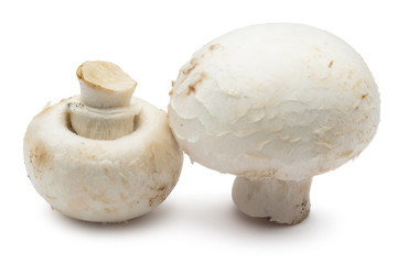 Champignon mushrooms