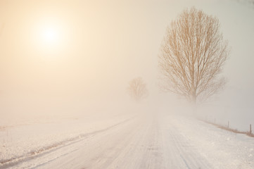 Winter road