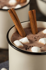 Gourmet Hot Chocolate Milk