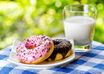 Fresh donuts and glass of milk on nature background