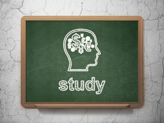 Education concept: Head With Finance Symbol and Study
