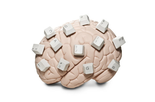 Brain with computer keys