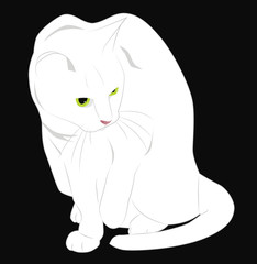 White cat