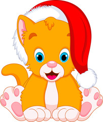 cute kitten with santa claus hat