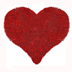 heart symbol from red moss isolated on white