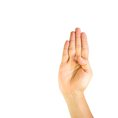 Obraz premium Finger Spelling the Alphabet in American Sign Language (ASL). Th