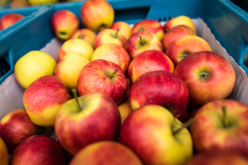 Gesunde Äpfel in einer Kiste auf dem Markt