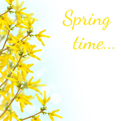 Postcard with spring flowering bush