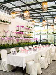 Tea Time in Orchid Observatory