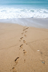 Footprints on the sand