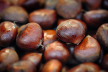 Raw chestnuts background close up macro