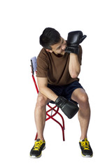 boxer isolated