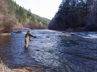 Fototapeta na wymiar Fly Fishing in Cold Weather in Oregon for Steelhead