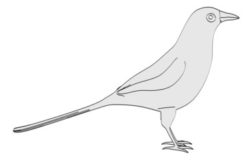 cartoon image of magpie bird