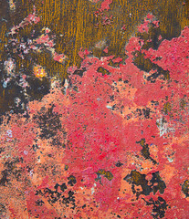 Grunge background in red and rusty colorful