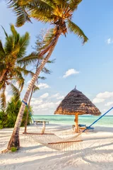 Selbstklebende Fototapete Zanzibar Hängematte am Strand zwischen zwei Bäumen mit Schatten auf Weiß