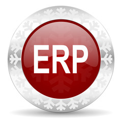 erp icon