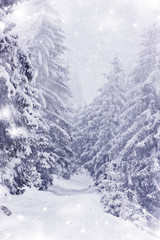 Snow covered Winter road