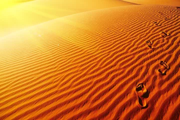 Selbstklebende Fototapeten Spuren auf Sanddüne © Dmitry Pichugin