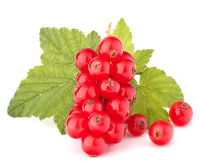 Red currants and green leaves still life