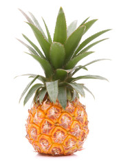 Pineapple tropical fruit or ananas