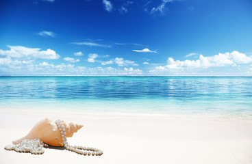 Fototapeta na wymiar sea shells and perls on the beach