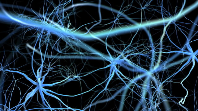 Neuron network. Flight through brain. 3D animation.
