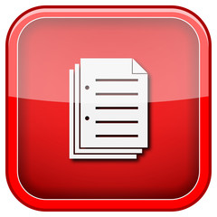 Document icon