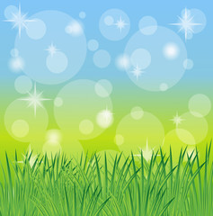 Fototapeta na wymiar green grass on a blue background