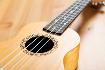 Obraz premium Ukulele