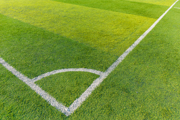 Fototapeta premium Football court grass