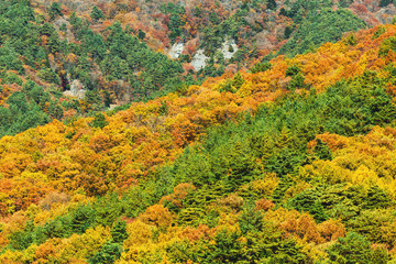 Mountain in Autumn