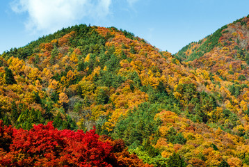 Autumn mountain