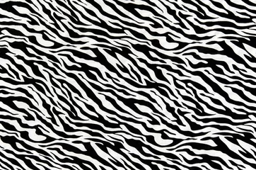 Foto op Canvas De stof van motieven zebra © photos777