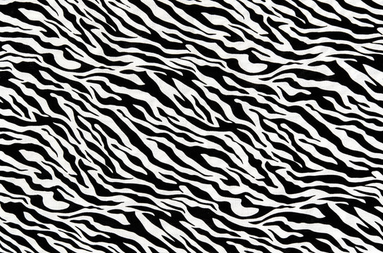 The fabric of motifs zebra