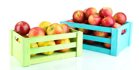 Juicy apples in wooden boxes isolated on white