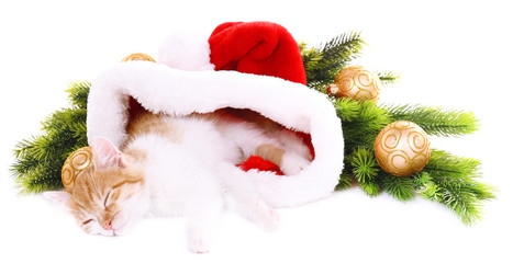 Little kitten with Christmas decorations isolated on white