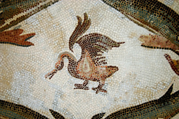 The Mosaics of Tunisia - El Jem - Tunisia
