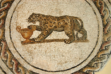 The Mosaics of Tunisia - El Jem - Tunisia