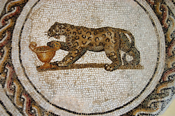 The Mosaics of Tunisia - El Jem - Tunisia