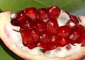 slice of Pomegranate red ripe