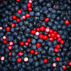 Ripe blueberries and cranberries for background