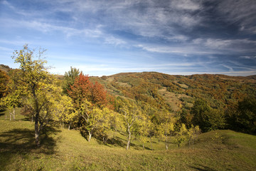 Colorful mountain scenes