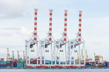 Fototapeta premium Cargo sea port and Sea cargo cranes
