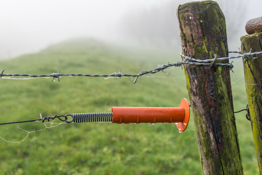 Orange Plastic Insulator Of An Electric Fence