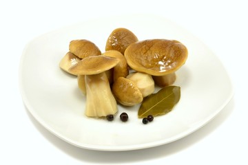 marinated boletus