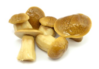 marynowane prawdziwki