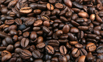 Coffee Beans